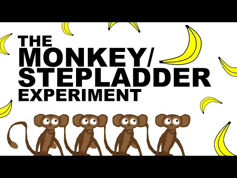 Download MP3 THE MONKEY/STEPLADDER EXPERIMENT
