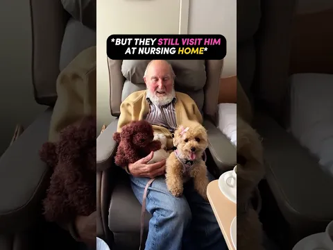 The dog knew he needed a friend❤️ #shorts