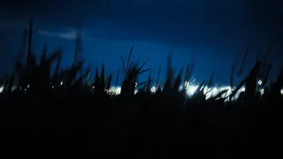 12 Hours of Soft Piano Music For Sleep: Vida