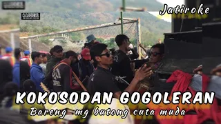 Download kokosodan gogoleran bareng mg butong cuta muda MP3