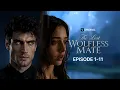 The Lost Wolfless Mate EP 1-11 Vigloo Premiere Short Dramas