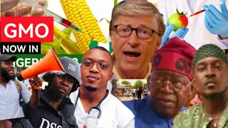 Breaking Tinubu Bill Gates Have Started Kpaing Nigerian Citizens With GMO Foods As MI Promote It 