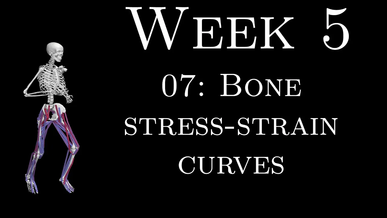 Bone Stress-Strain Curves in Compression and Tension | Biomechanics K305