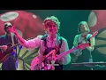 Cavetown "Frog" LIVE