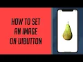 How to set an Image on UIButton