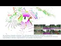 Panoptic nuScenes A Large-Scale Benchmark for LiDAR Panoptic Segmentation and Tracking
