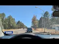 RUIDOSO recovering after last year s forest fire