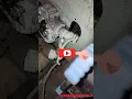 VOLVO VNL760 PROBLEMAS DE LAS ABS VALVES PROBLEMAS CON EL D O T