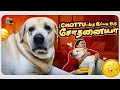 Download Lagu Chottu: யோவ் தகப்பா... நீ வா நான் யாருனு காட்டுறேன் 😁| Daddy Challenged Chottu🥊 | Vlog 127