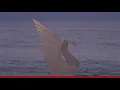 Un Millón - The Marías