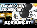 How to True Form Flower Cat - Bombercat