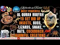 Lagu Very Strong Al Quran Ruqyah to Get Rid of Insects, Bugs, Lizards, Snake, Rats, and harmful creations