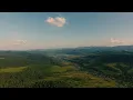 Dan Gibson’s Solitudes - Heart of the Forest | Piano Cascades