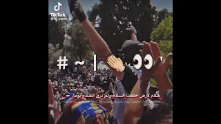 جنه جنه جنه تسلم يا وطنا 