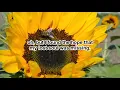 3:16 - Anne Wilson - Instrumental (Original Key C) - 5.14.24
