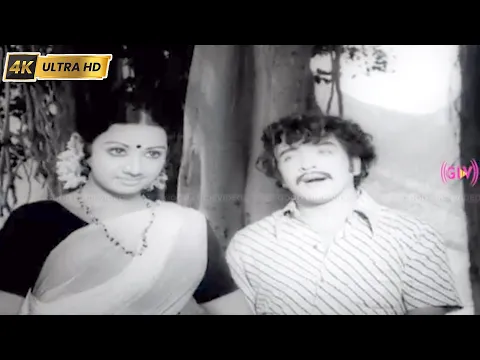 Maampoove Siru Mainave - YouTube