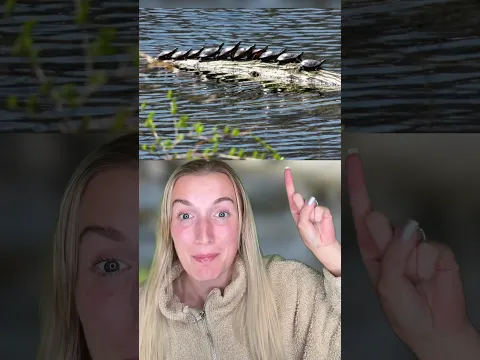 Pictures You Have To LOOK At TWICE To Understand!🤯