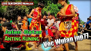 Download JALAN DATAR \u0026 ANTING KUNING - Voc Wulan _ Putro Sadewo Mudo MP3