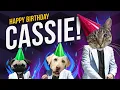 Happy Birt ay Cassie - Its time to dance