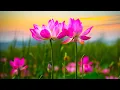 Download Lagu Beautiful Relaxing Hymns, Peaceful Instrumental Music, \