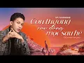 Download Lagu Còn Thương Rau Đắng Mọc Sau Hè  - Tiêu Minh Phụng | MV KARAOKE