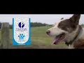 Total Feeds Products 2019