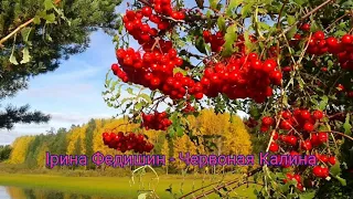 Ірина Федишин Червоная Калина  Ірина Федишин Червоная Калина