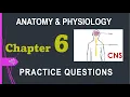 Anatomy Physiology Chapter 6 practice questions