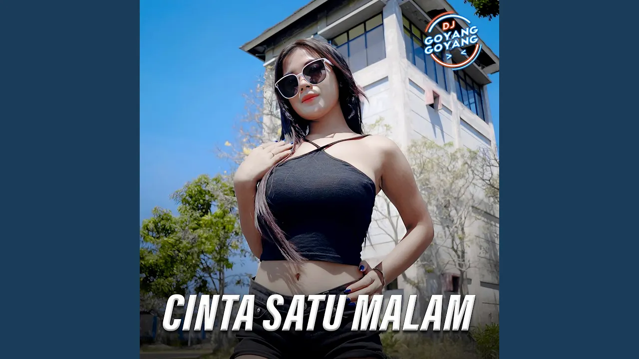 Cinta Satu Malam (Remix)