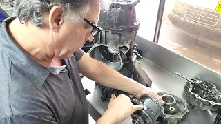                                                                                             دندنها