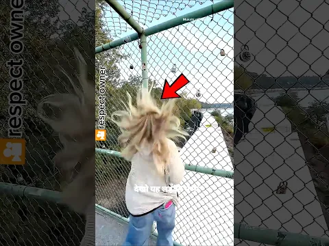 #bts