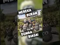 Download Lagu Shaun The Sheep Bukanlah Domba Biasa!