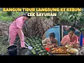 Download Lagu BANGUN TIDUR LANGSUNG KE KEBUN LANJUT MASAK IKAN KAKAP ADAM MANIS