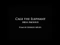 Mess Around (Official Video) - Cage The Elephant