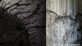                                                دندنها