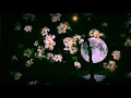 Chariot loop | Beach House