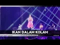 Lagu Nella Kharisma - Ikan Dalam Kolam | Live Konser Karawang 2023