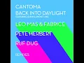 Back into Daylight (Ruf Dug Remix) (feat. Quinn Lamont Luke)