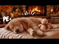 12 Hours of Dog Music 🐾 Calm Music for Dogs with Separation Anxiety 🐶 💙 Sleep Music for Anxious Dogs