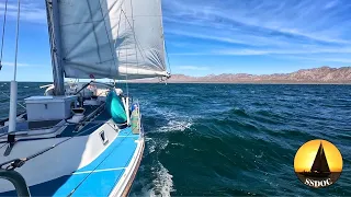 Leaving Baja Behind: 200-Mile Sailing Journey & New Horizons – Ep. 100