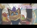 CAN T STOP WON T STOP Anthro New England 2022
