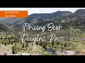Driving Douglas Pass - July 2023