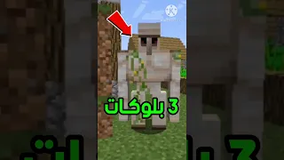 5 معلومات وأسرار ربما لاتعرفها عن الايرون قولم في ماين كرافت Minecraft 
