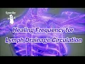 Healing Frequency for Lymph Drainage Circulation - Spooky2 Rife Frequencies