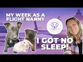 I flew across the country three times this week FLIGHT NANNY VLOG