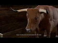 Baldur s Gate 3 - Rescue The Grand Duke The Dark Urge Dragonborn Calms Frightened Ox Gameplay