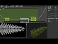 Substance Designer Fern Material timelapse