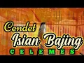 Download Lagu CENDET ISIAN BAJING / CELEMES COCOK BUAT MASTERAN