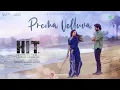 Prema Velluva - Audio Song | HIT 3 | Nani | Sailesh Kolanu | Srinidhi Shetty | Mickey J Meyer
