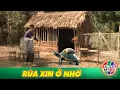 Download Lagu CỔ TÍCH XƯA 2024 | RÙA XIN Ở NHỜ | CỔ TÍCH VIỆT NAM XƯA 2024 | TÍCH CŨ 2024 | TÍCH XƯA 2024